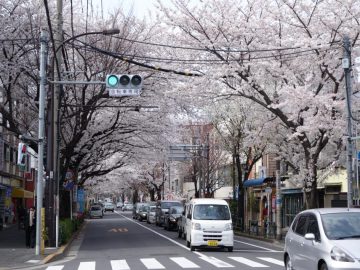 フラリふらふらご近所散歩