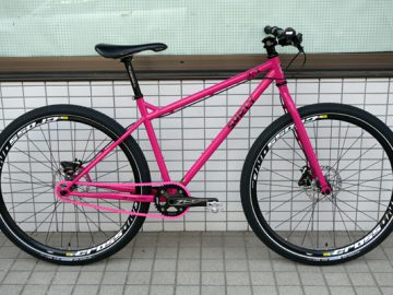 こんなんいかがでしょ？SURLY 1X1