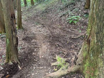 チューブレスタイヤのパンク修理！？